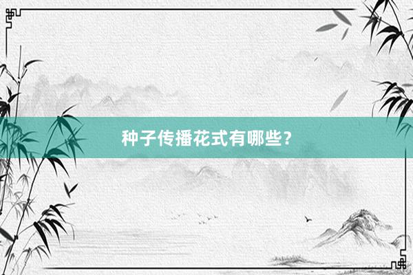 种子传播花式有哪些？