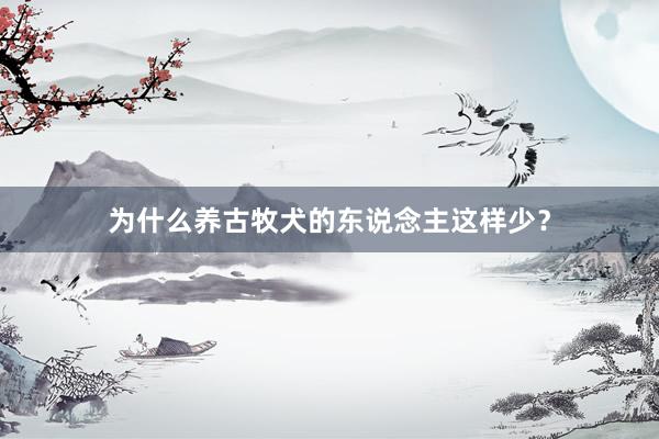 为什么养古牧犬的东说念主这样少？