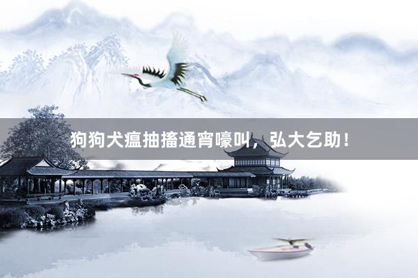 狗狗犬瘟抽搐通宵嚎叫，弘大乞助！